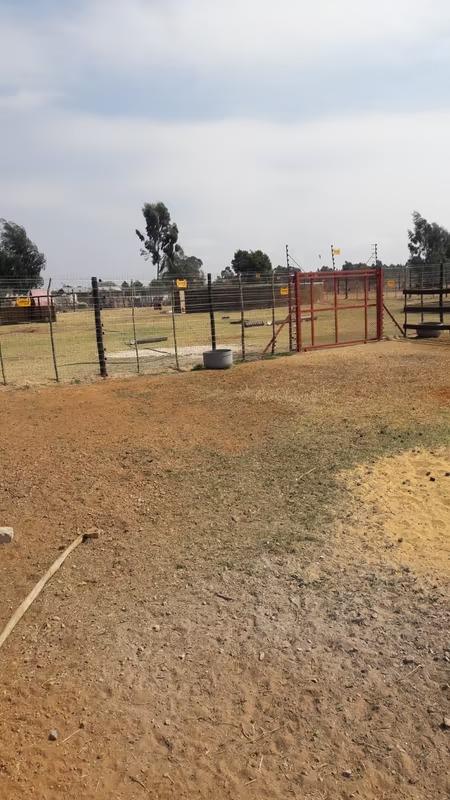 0 Bedroom Property for Sale in Randfontein Rural Gauteng