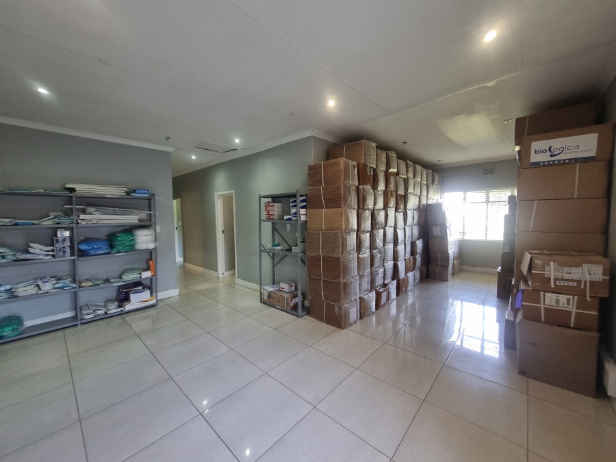 To Let commercial Property for Rent in Menlo Park Gauteng