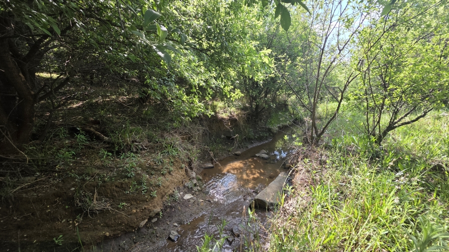 0 Bedroom Property for Sale in The Hills Game Reserve Estate Gauteng