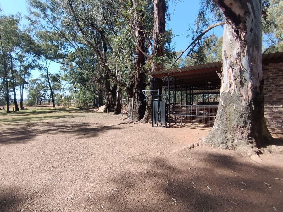 3 Bedroom Property for Sale in Dreamlands Gauteng