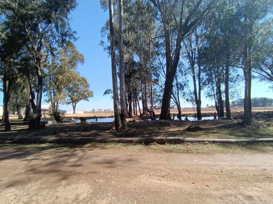 3 Bedroom Property for Sale in Dreamlands Gauteng