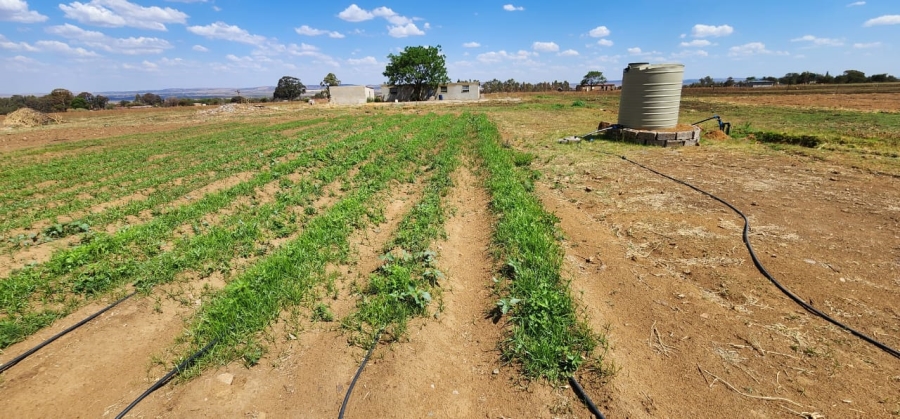 3 Bedroom Property for Sale in Rikasrus A H Gauteng