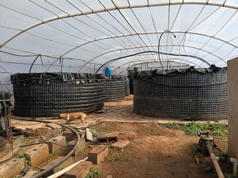 6 Bedroom Property for Sale in Wheatlands A H Gauteng