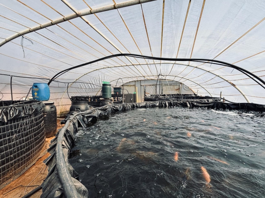 6 Bedroom Property for Sale in Wheatlands A H Gauteng