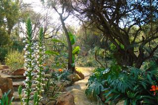 4 Bedroom Property for Sale in South Crest Gauteng