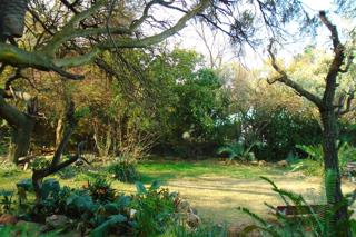 4 Bedroom Property for Sale in South Crest Gauteng