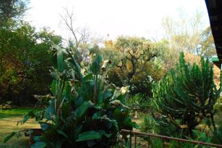 4 Bedroom Property for Sale in South Crest Gauteng