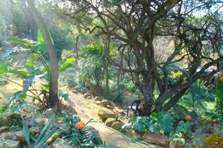 4 Bedroom Property for Sale in South Crest Gauteng