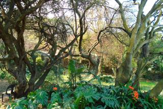 4 Bedroom Property for Sale in South Crest Gauteng