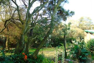 4 Bedroom Property for Sale in South Crest Gauteng