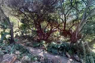 4 Bedroom Property for Sale in South Crest Gauteng