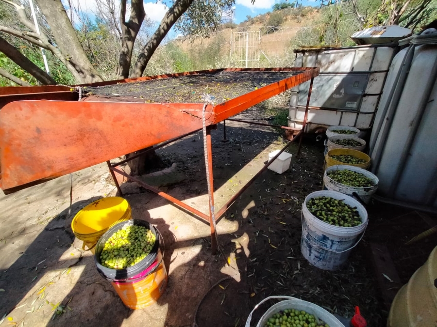 5 Bedroom Property for Sale in Glen Harvie Gauteng