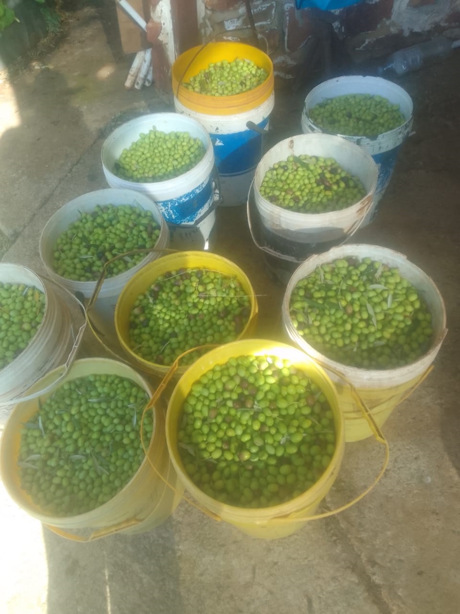 5 Bedroom Property for Sale in Glen Harvie Gauteng