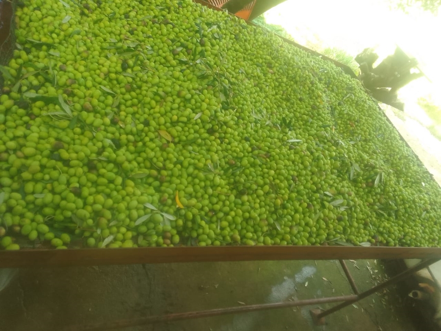 5 Bedroom Property for Sale in Glen Harvie Gauteng