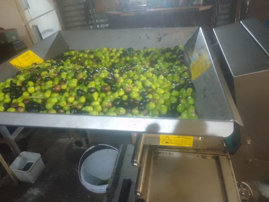 5 Bedroom Property for Sale in Glen Harvie Gauteng