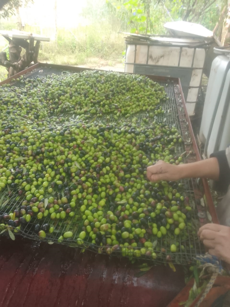 5 Bedroom Property for Sale in Glen Harvie Gauteng