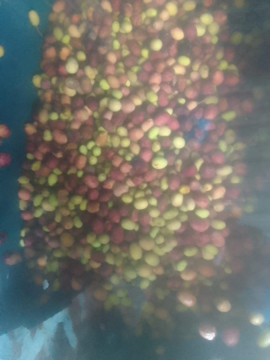 5 Bedroom Property for Sale in Glen Harvie Gauteng