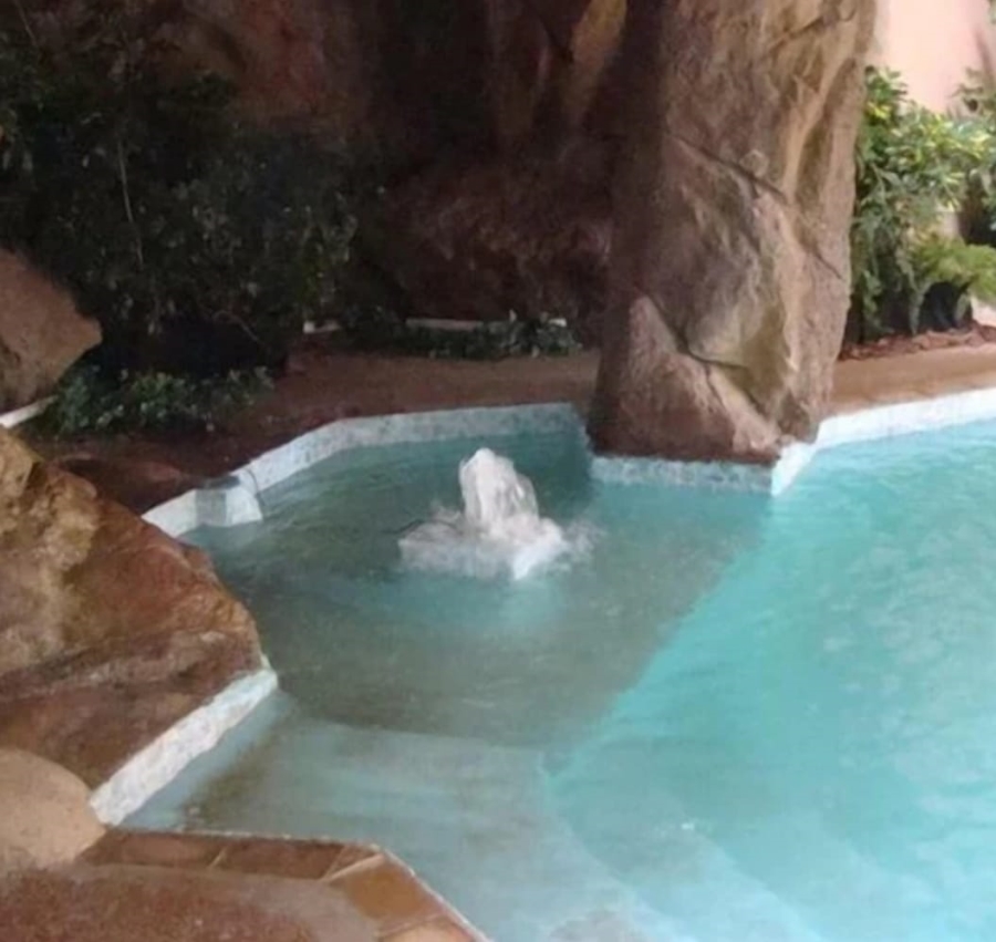 22 Bedroom Property for Sale in Pretoria North Gauteng