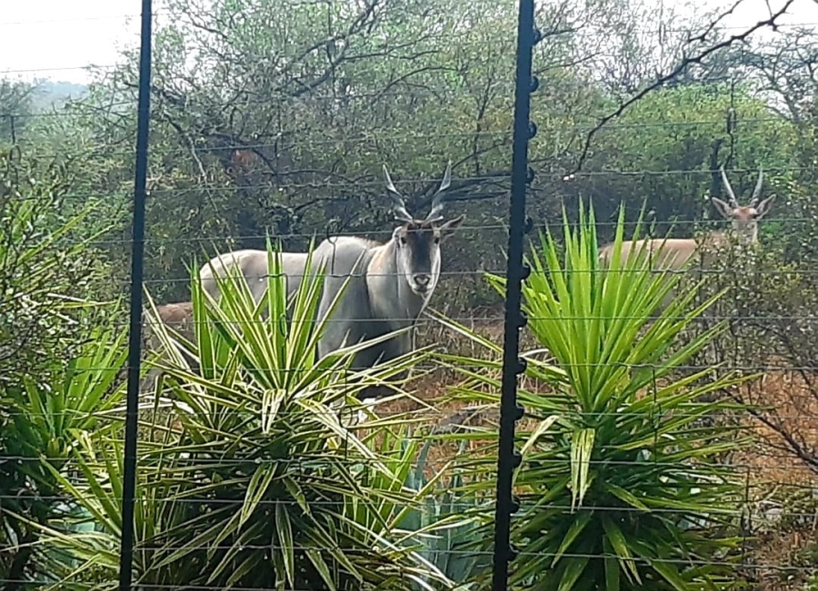 5 Bedroom Property for Sale in Roodeplaat Gauteng