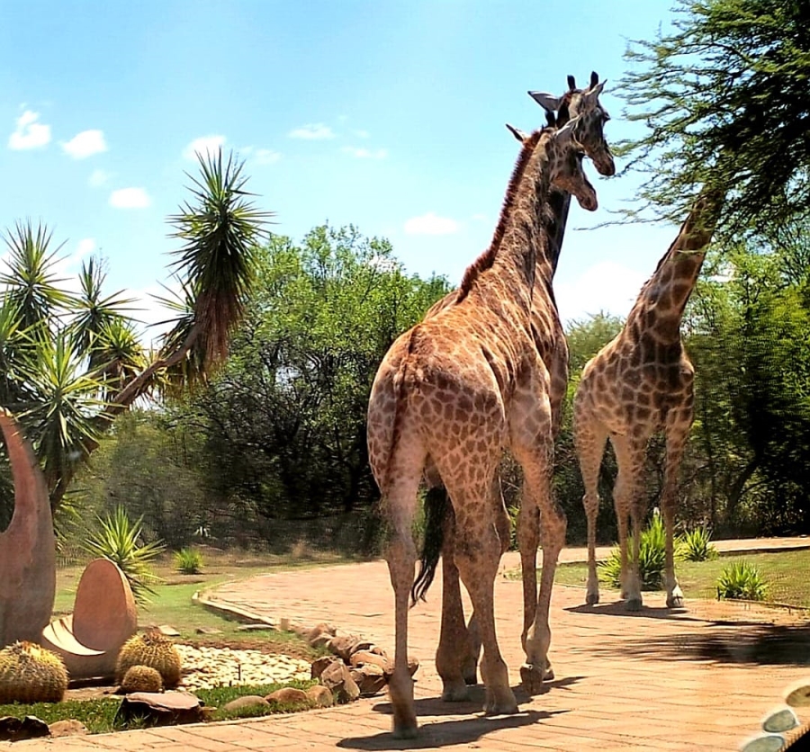 5 Bedroom Property for Sale in Roodeplaat Gauteng