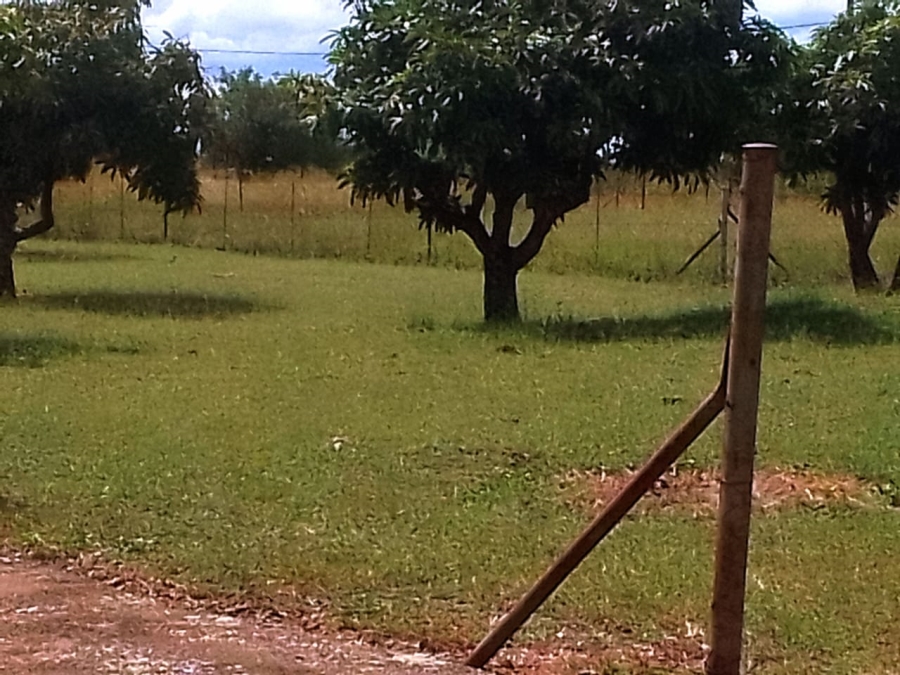 4 Bedroom Property for Sale in Pretoria North Gauteng