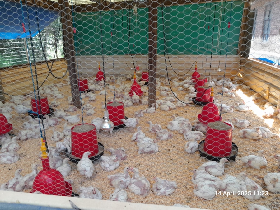 5 Bedroom Property for Sale in Roodeplaat Gauteng