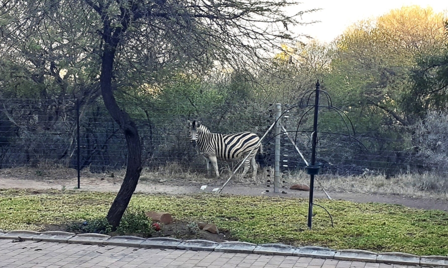 3 Bedroom Property for Sale in Roodeplaat Gauteng