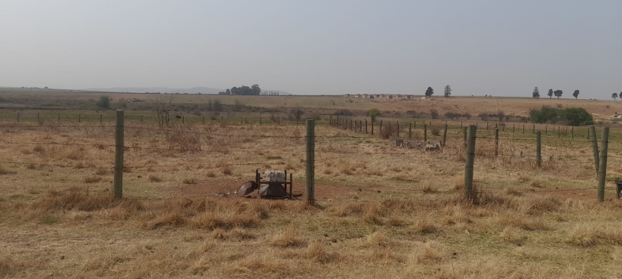 5 Bedroom Property for Sale in Witkop Gauteng