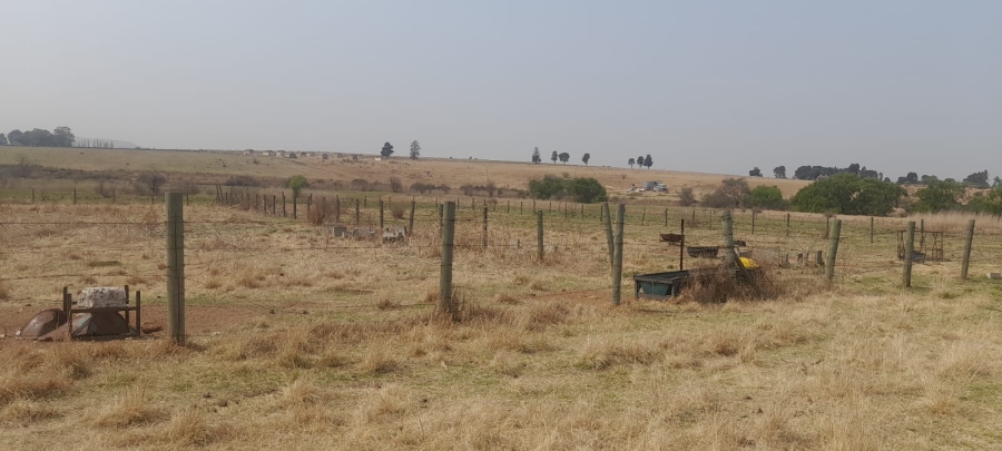 5 Bedroom Property for Sale in Witkop Gauteng