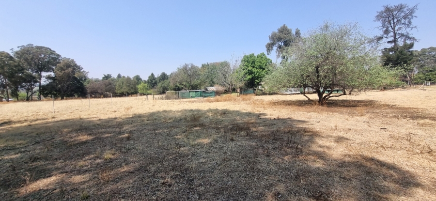 5 Bedroom Property for Sale in Golf View Gauteng