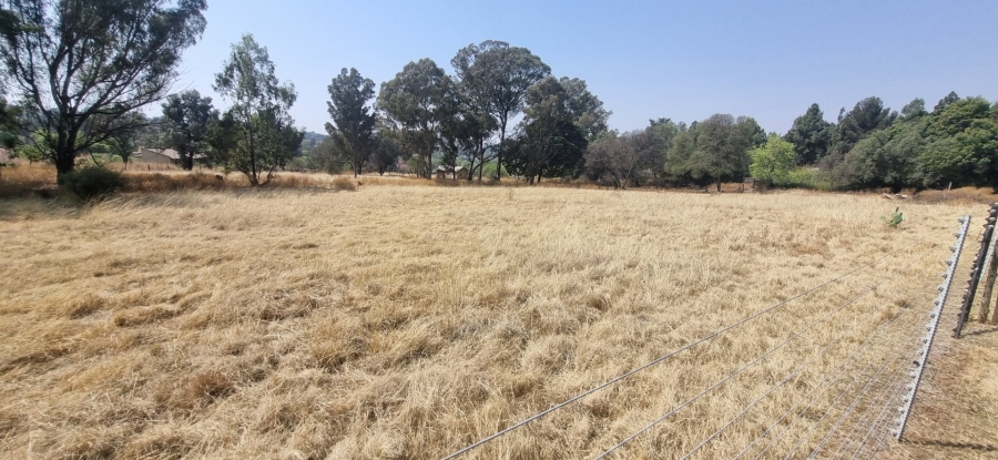 5 Bedroom Property for Sale in Golf View Gauteng