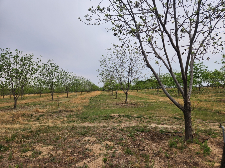 11 Bedroom Property for Sale in Vaalbank Gauteng