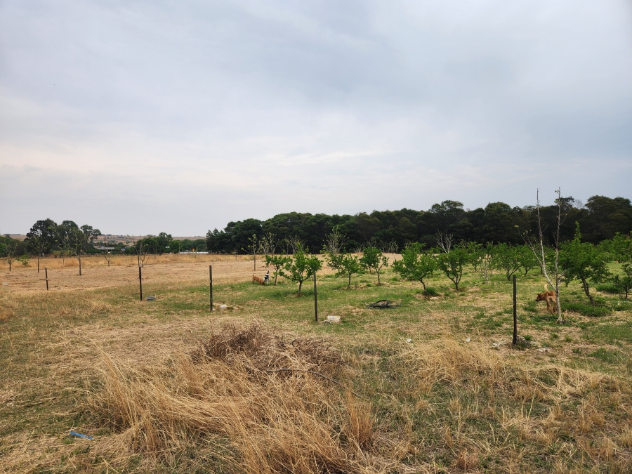 11 Bedroom Property for Sale in Vaalbank Gauteng