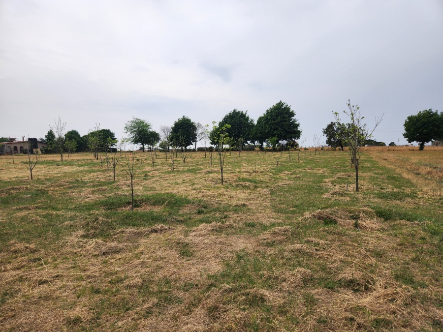 11 Bedroom Property for Sale in Vaalbank Gauteng