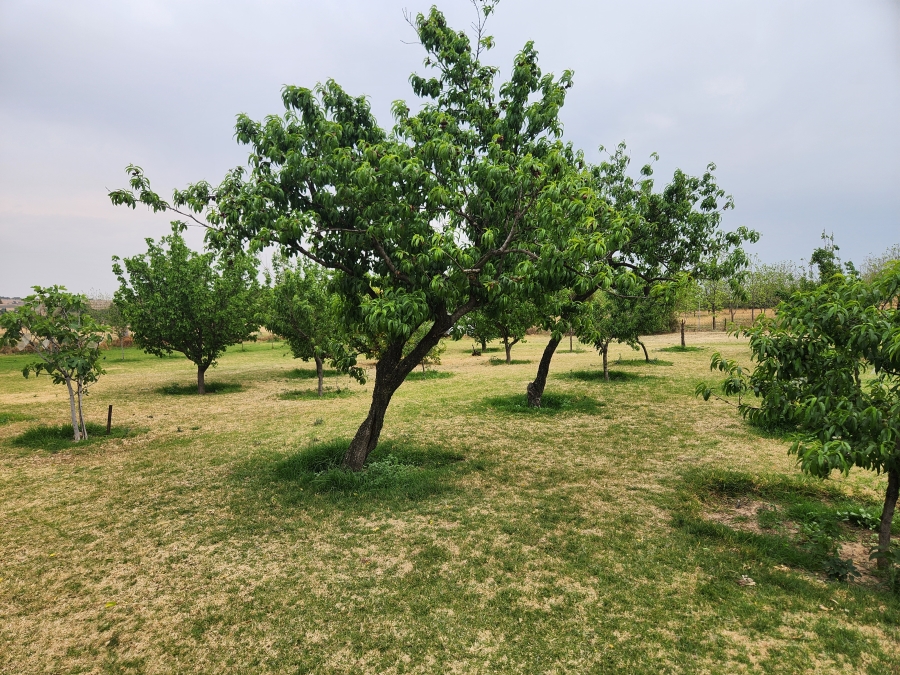 11 Bedroom Property for Sale in Vaalbank Gauteng