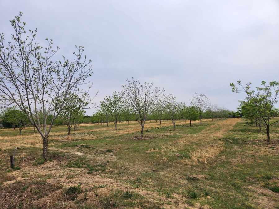 11 Bedroom Property for Sale in Vaalbank Gauteng