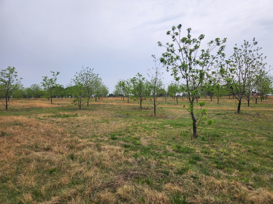 11 Bedroom Property for Sale in Vaalbank Gauteng