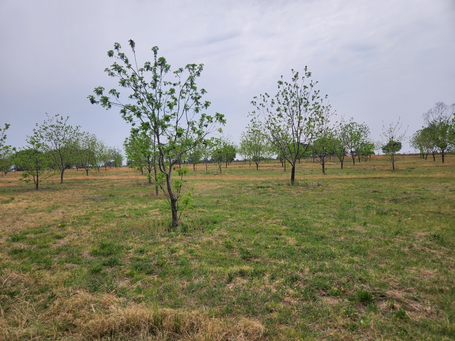 11 Bedroom Property for Sale in Vaalbank Gauteng