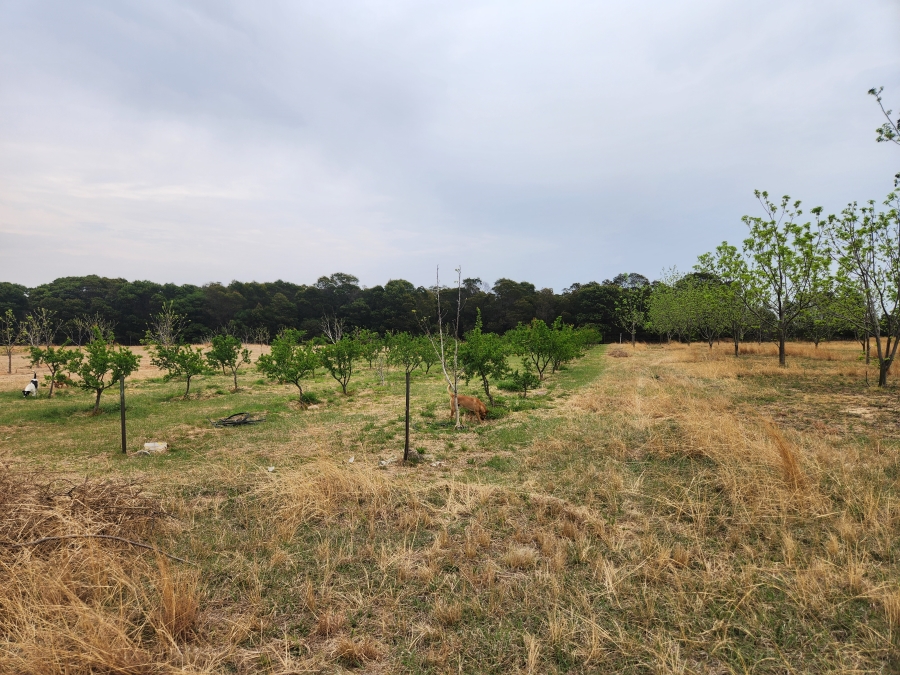 11 Bedroom Property for Sale in Vaalbank Gauteng