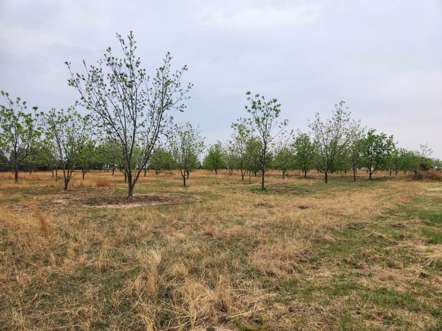 11 Bedroom Property for Sale in Vaalbank Gauteng