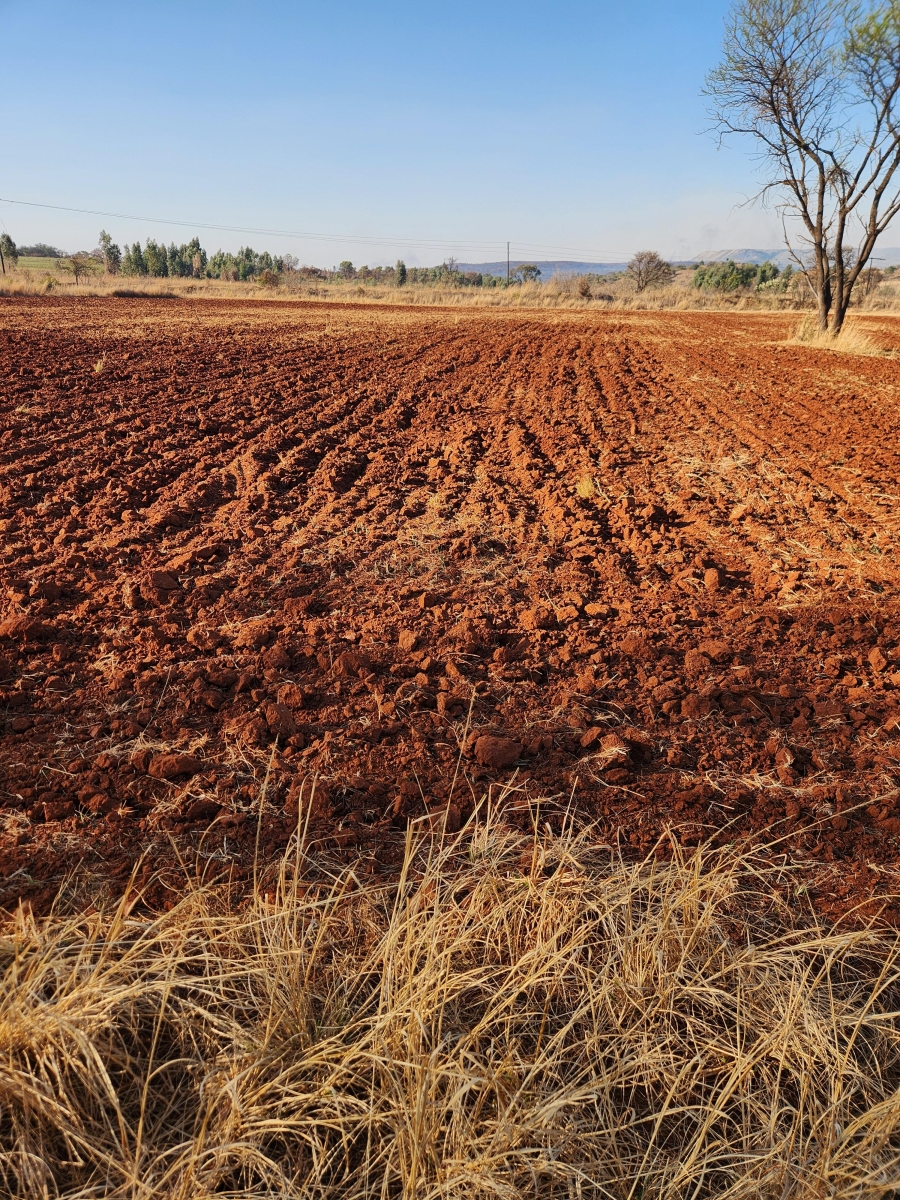 10 Bedroom Property for Sale in Elandshoek AH Gauteng