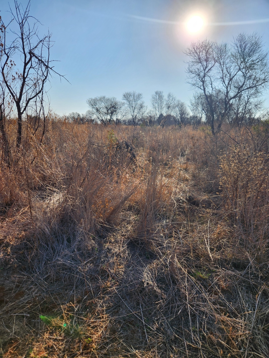 10 Bedroom Property for Sale in Elandshoek AH Gauteng