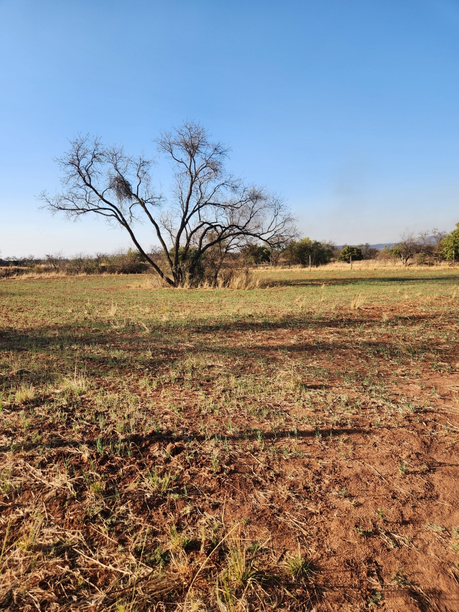 10 Bedroom Property for Sale in Elandshoek AH Gauteng