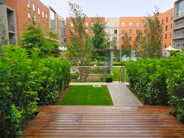 To Let 2 Bedroom Property for Rent in Melrose Arch Gauteng