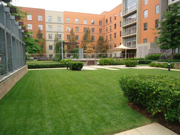 To Let 2 Bedroom Property for Rent in Melrose Arch Gauteng