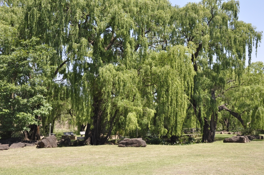 5 Bedroom Property for Sale in Three Rivers Gauteng