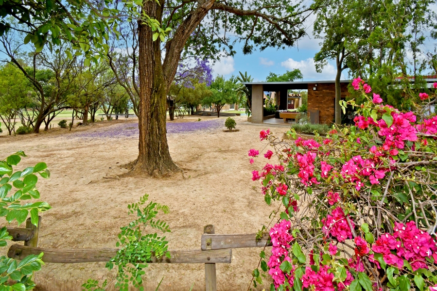 6 Bedroom Property for Sale in Chartwell Gauteng