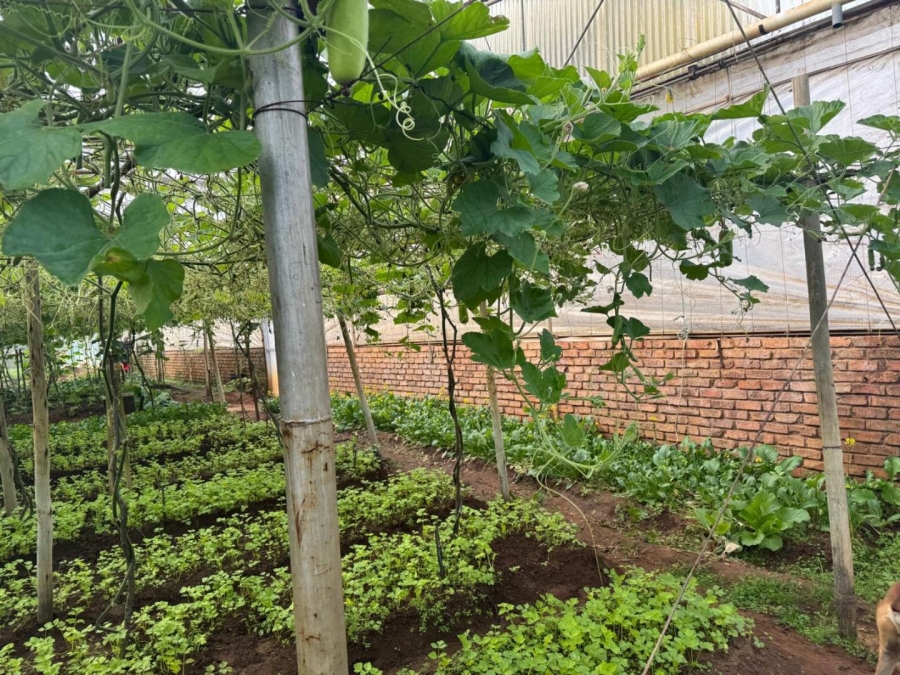 0 Bedroom Property for Sale in Kameelfontein Gauteng