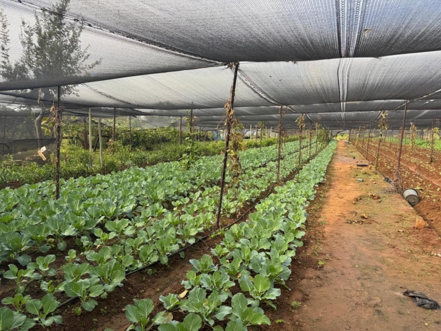 0 Bedroom Property for Sale in Kameelfontein Gauteng