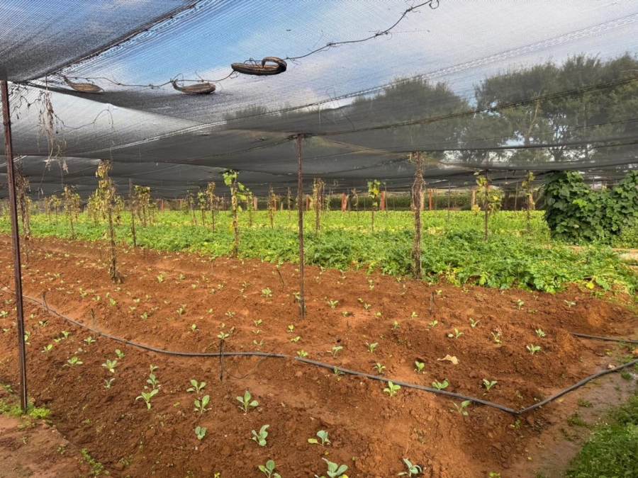 0 Bedroom Property for Sale in Kameelfontein Gauteng